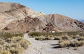 Rhyolite Ghost Town in Nevada USA Royalty Free Stock Photo